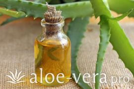 Рецепт шампуня Алоэ Вера для волос в домашних условиях