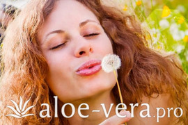 Опыт применения Алоэ Вера - Дыхательные пути и аллергии