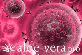 Алоэ Вера - Вирусная инфекция