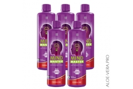 Mind Master Green | Майнд Мастер Зеленая формула Набор 5 шт. купить